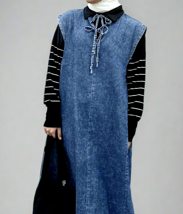 Inara Denim Dress